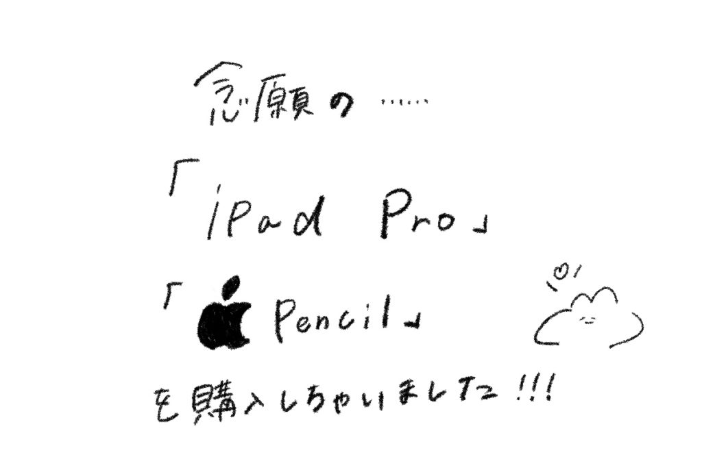 Ipadpro11 と Apple Pencil をついに購入しました イラスト描きやすい きょうはなにをしよう