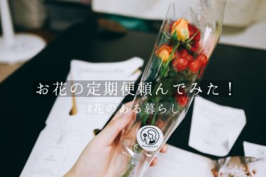 【Bloomee LIFE】ポスト投函のお花の定期便を頼んでみた！お花がとても可愛い！！